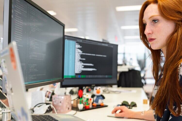 Web Development
