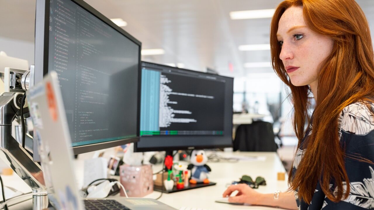 Web Development