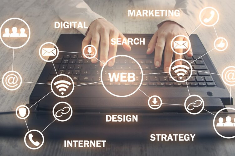 Web Development
