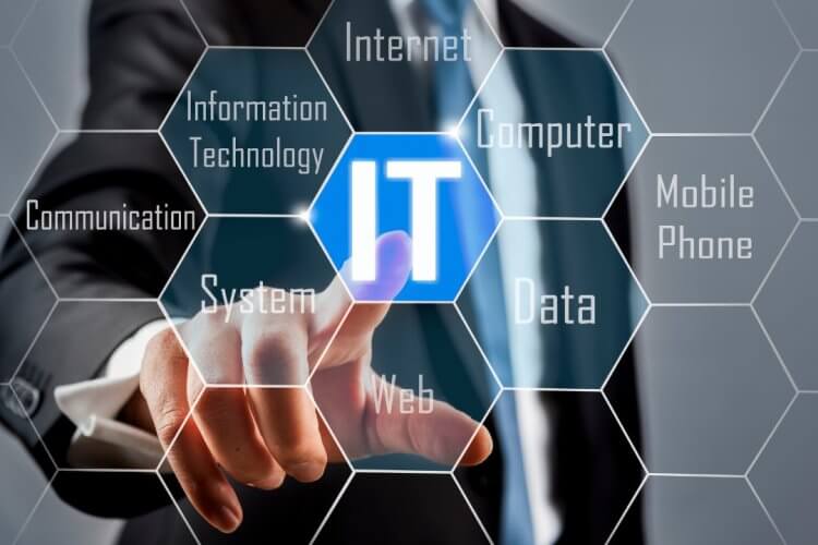 Information Technology Consulting and Support Services