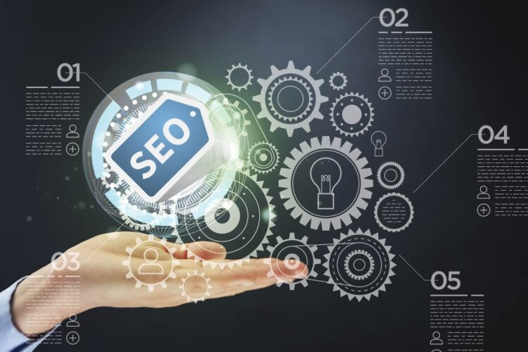 SERPs Basics Guide